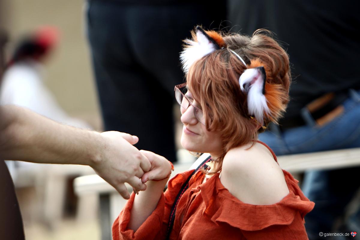 Arizona Renaissance Festival 2017