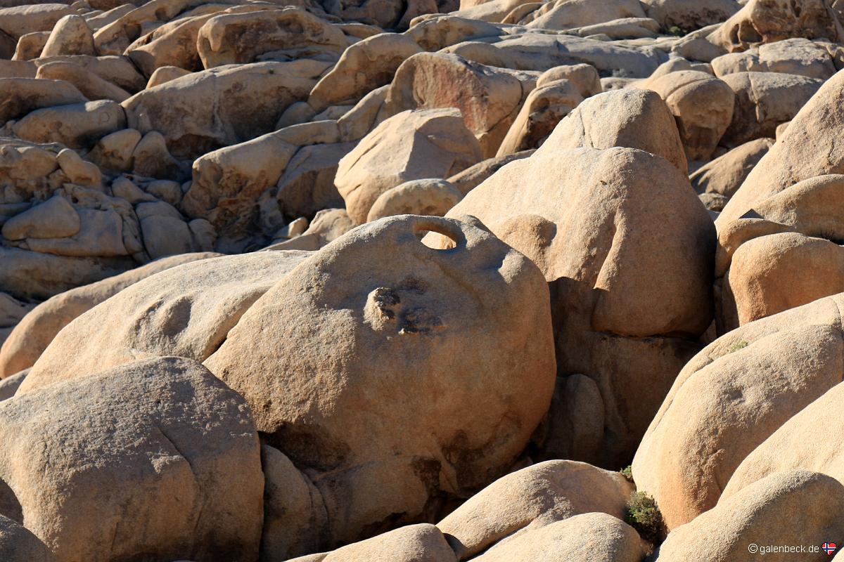 Joshua Tree National Park