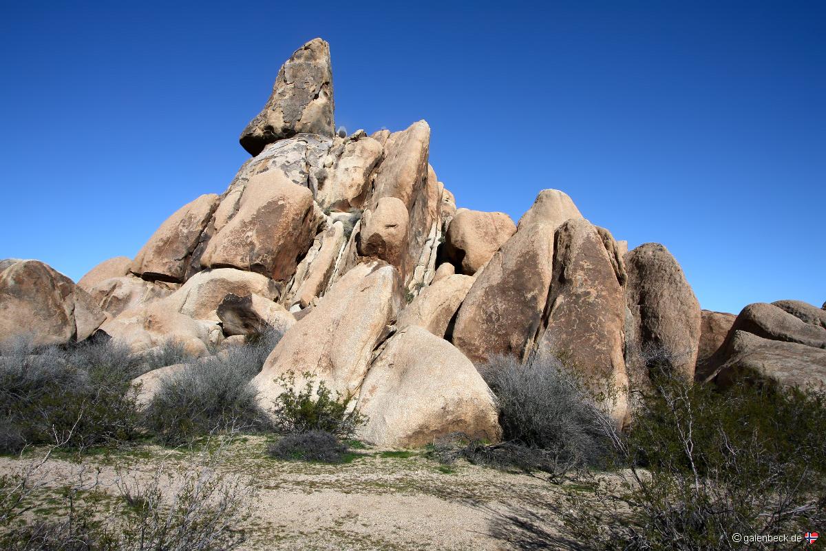 Joshua Tree National Park