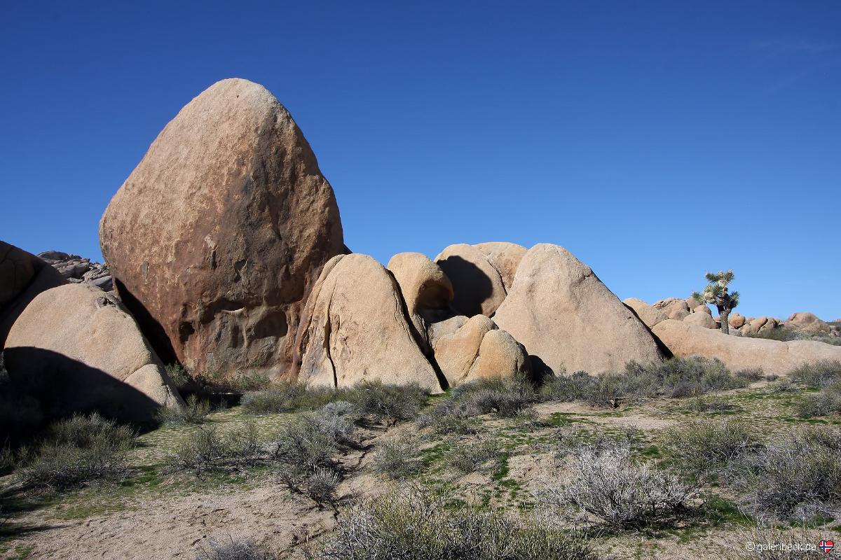 Joshua Tree National Park