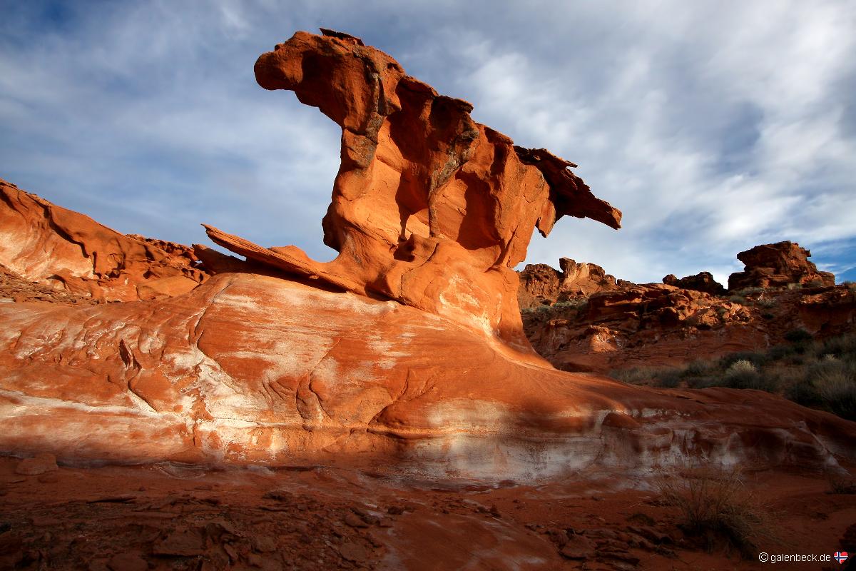 Gold Butte National Monument