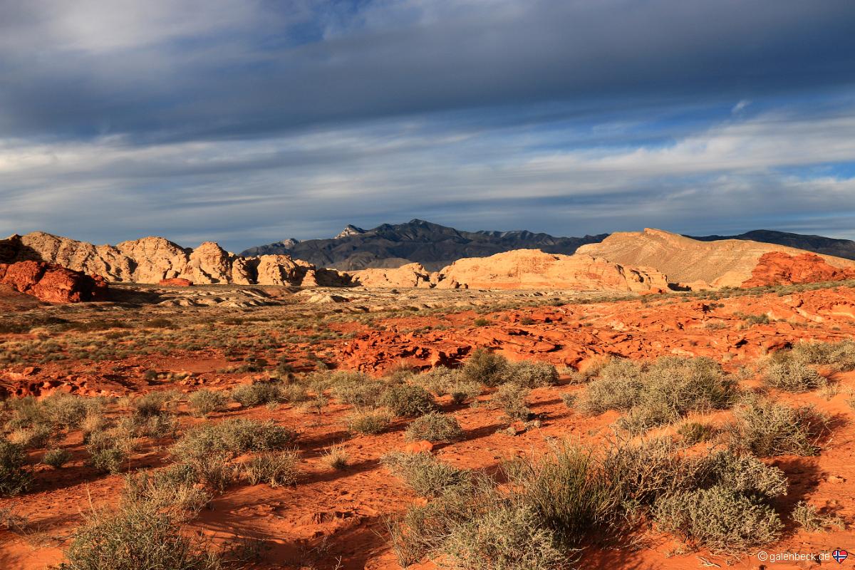 Gold Butte National Monument