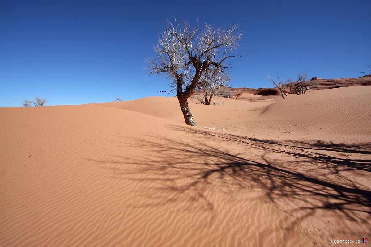 White Wash Sand Dunes