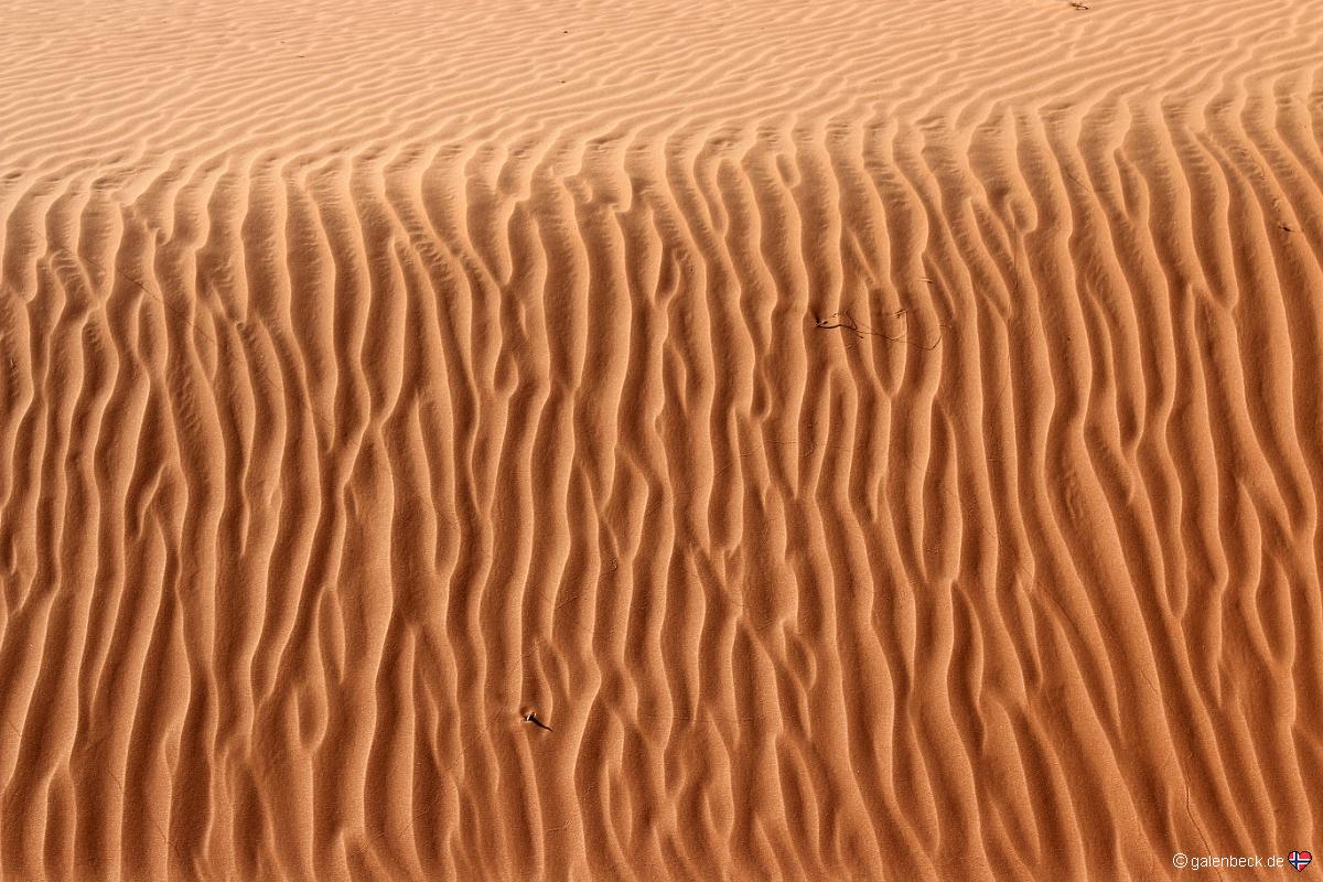 White Wash Sand Dunes