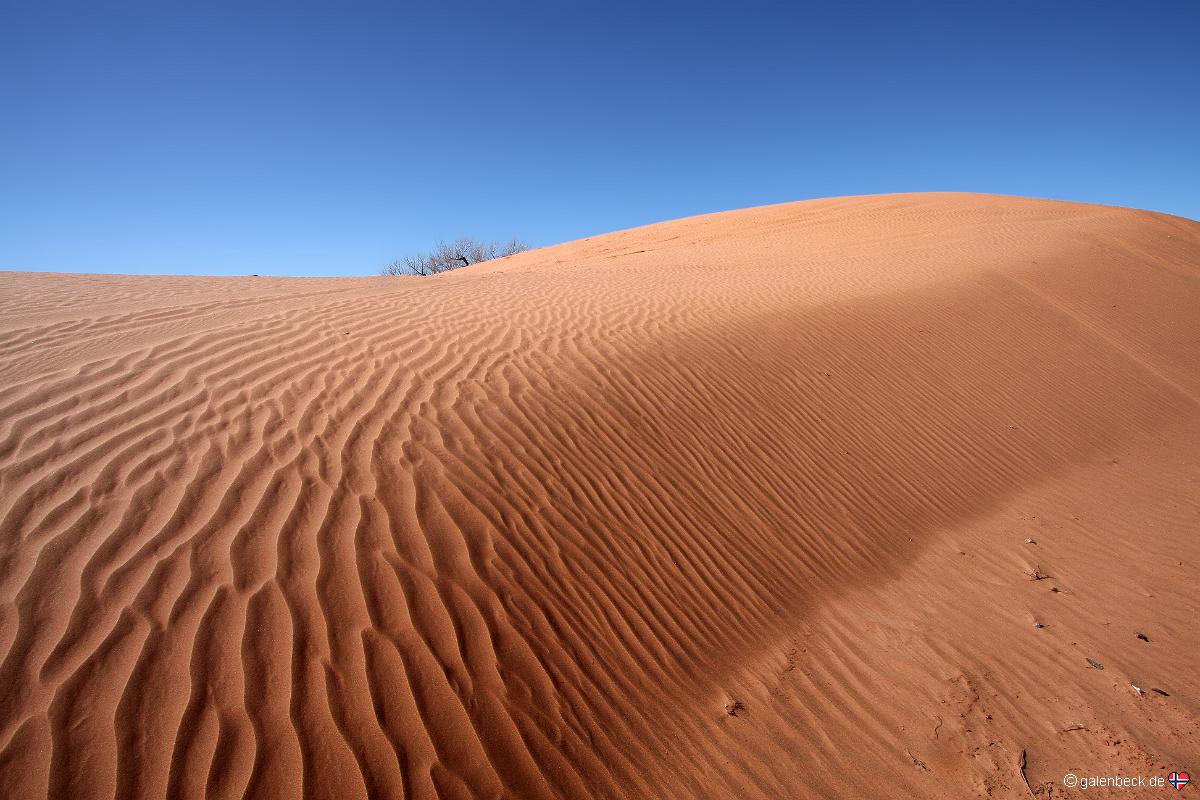White Wash Sand Dunes