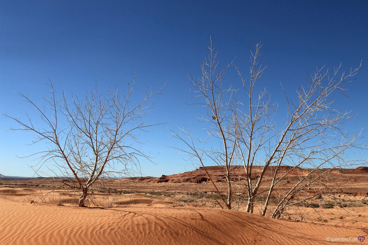 White Wash Sand Dunes