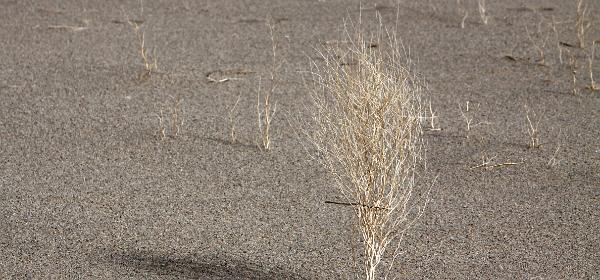 Olancha Dunes OHV Area