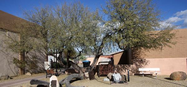 Wickenburg