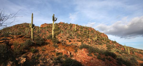 Castle Hot Springs Road