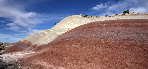 Notom Road Scenic Backway - Burr Trail