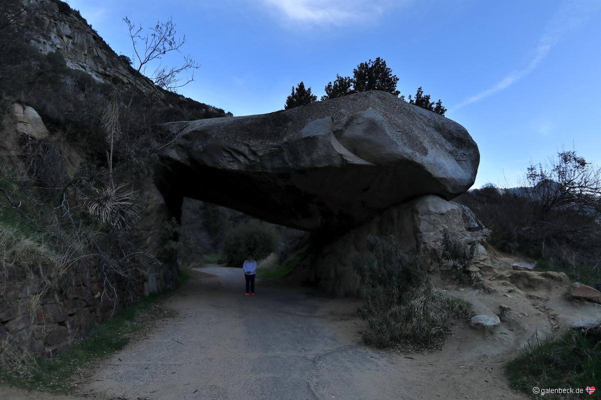 Sequoia National Park