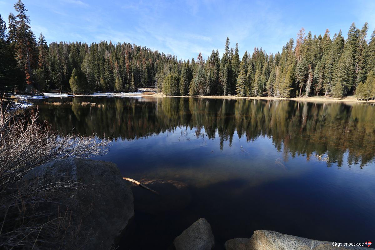 Sequoia Lodge Pond