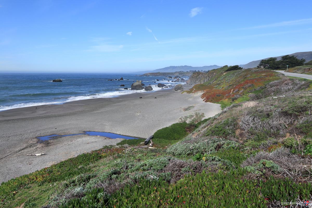 Goat Rock Beach