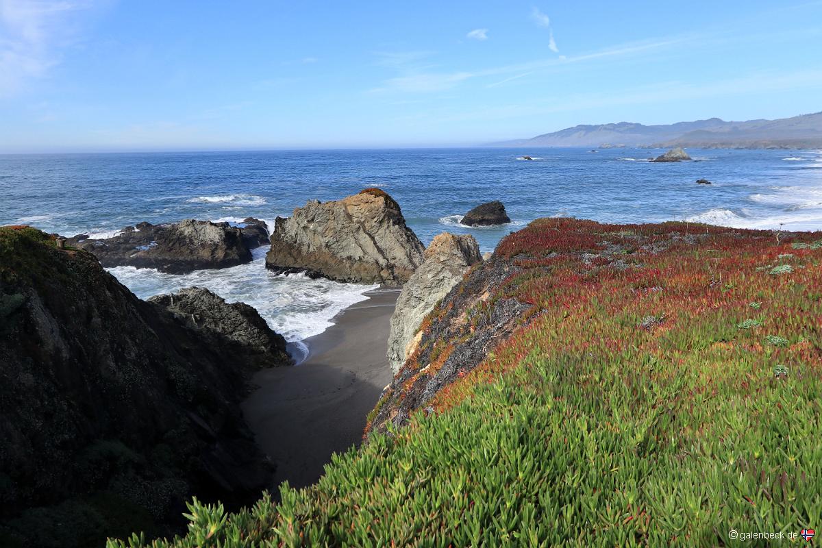 Goat Rock Beach