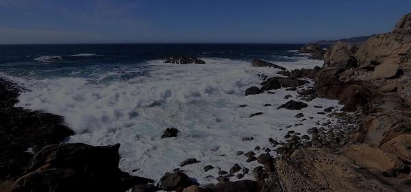 Salt Point State Park