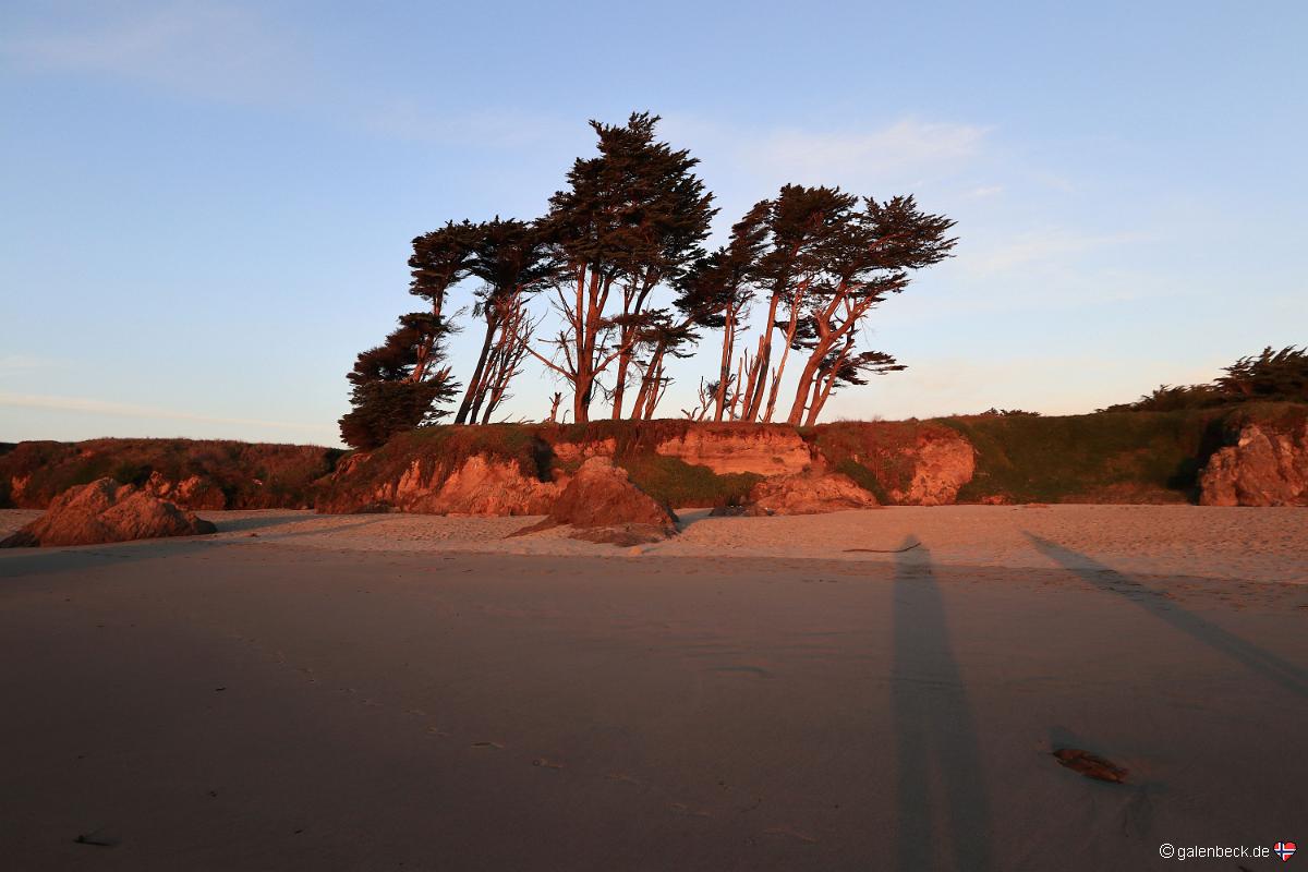 Pudding Creek Trestle Beach