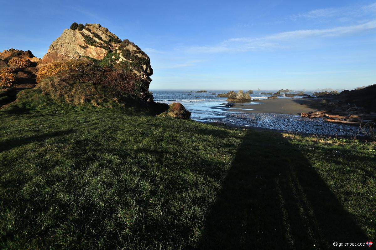 Harris Beach State Park