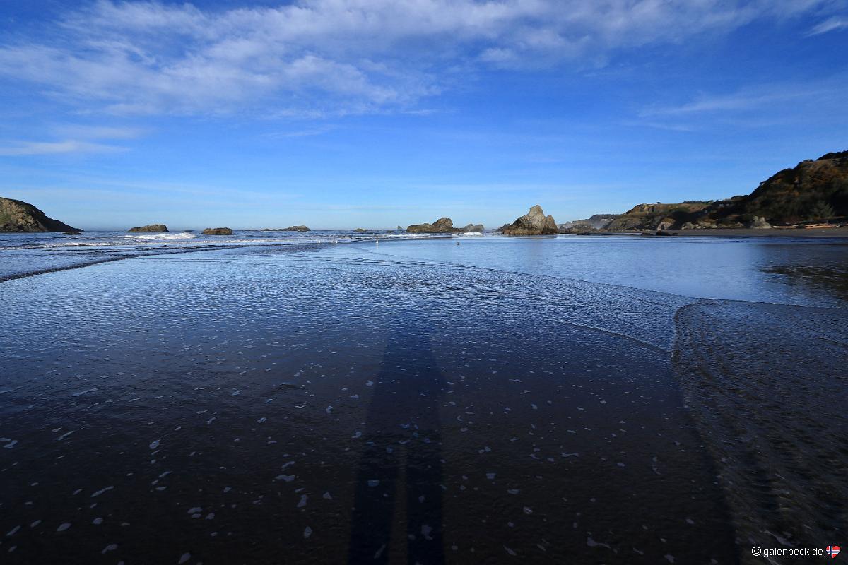 Harris Beach State Park