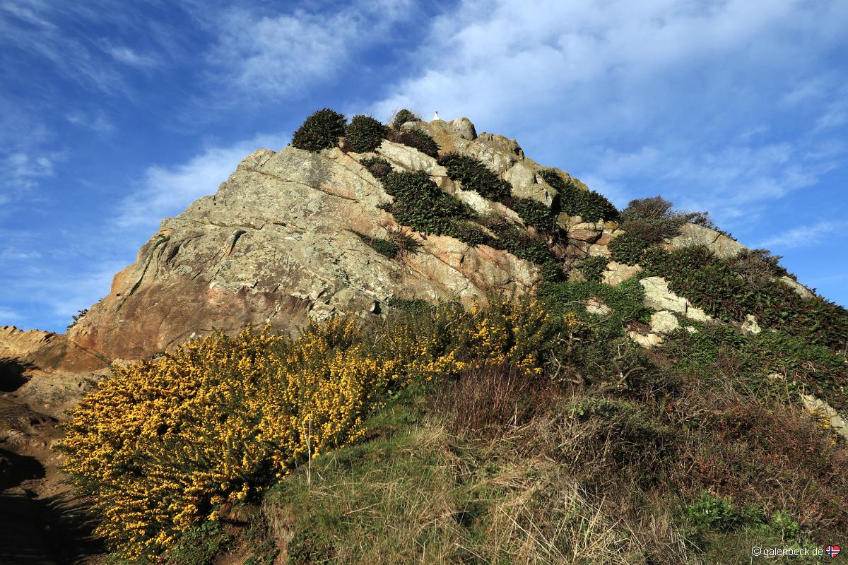 Harris Beach State Park