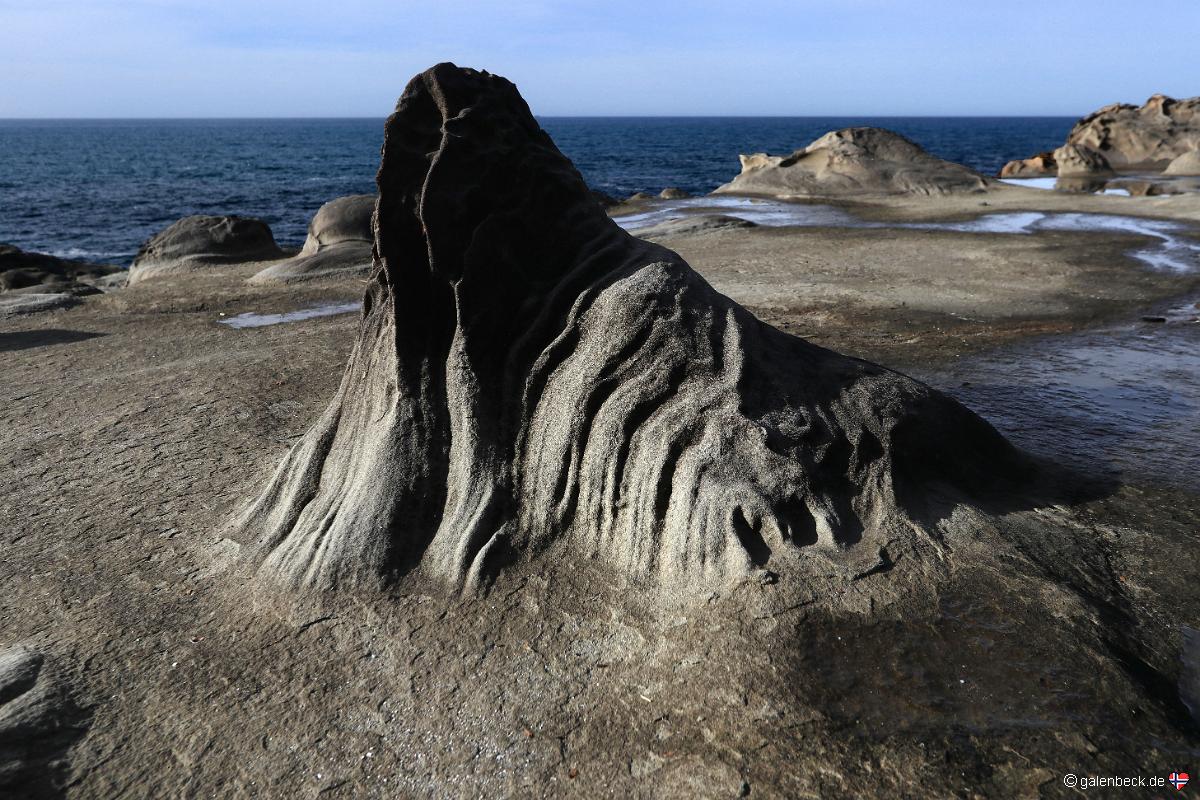 Shore Acres State Park