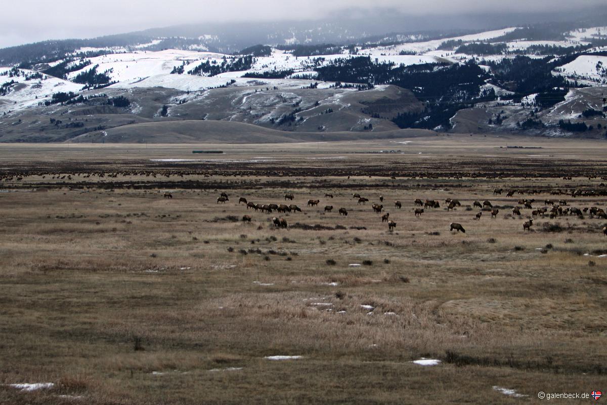 Grand Teton National Park PM