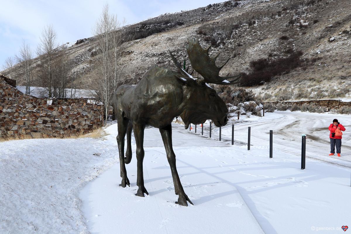 National Museum of Wildlife Art
