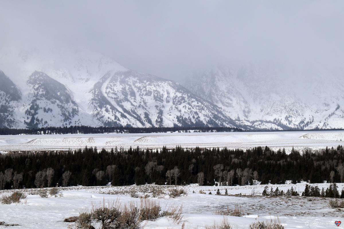 Grand Teton National Park AM