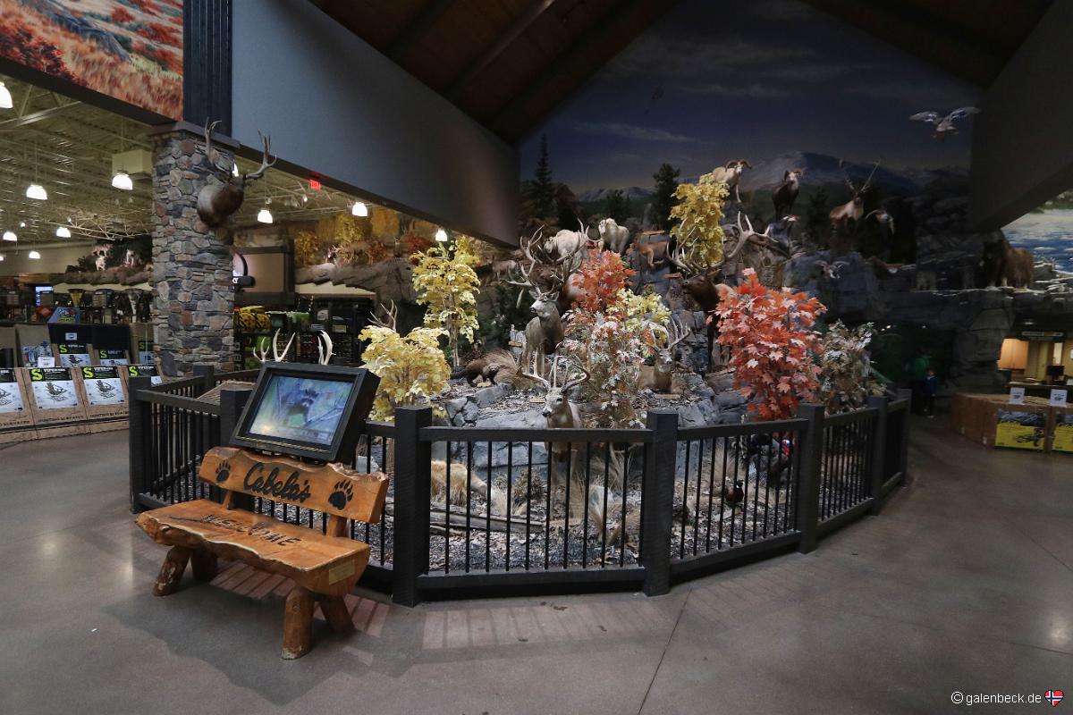 Cabelas Lone Tree