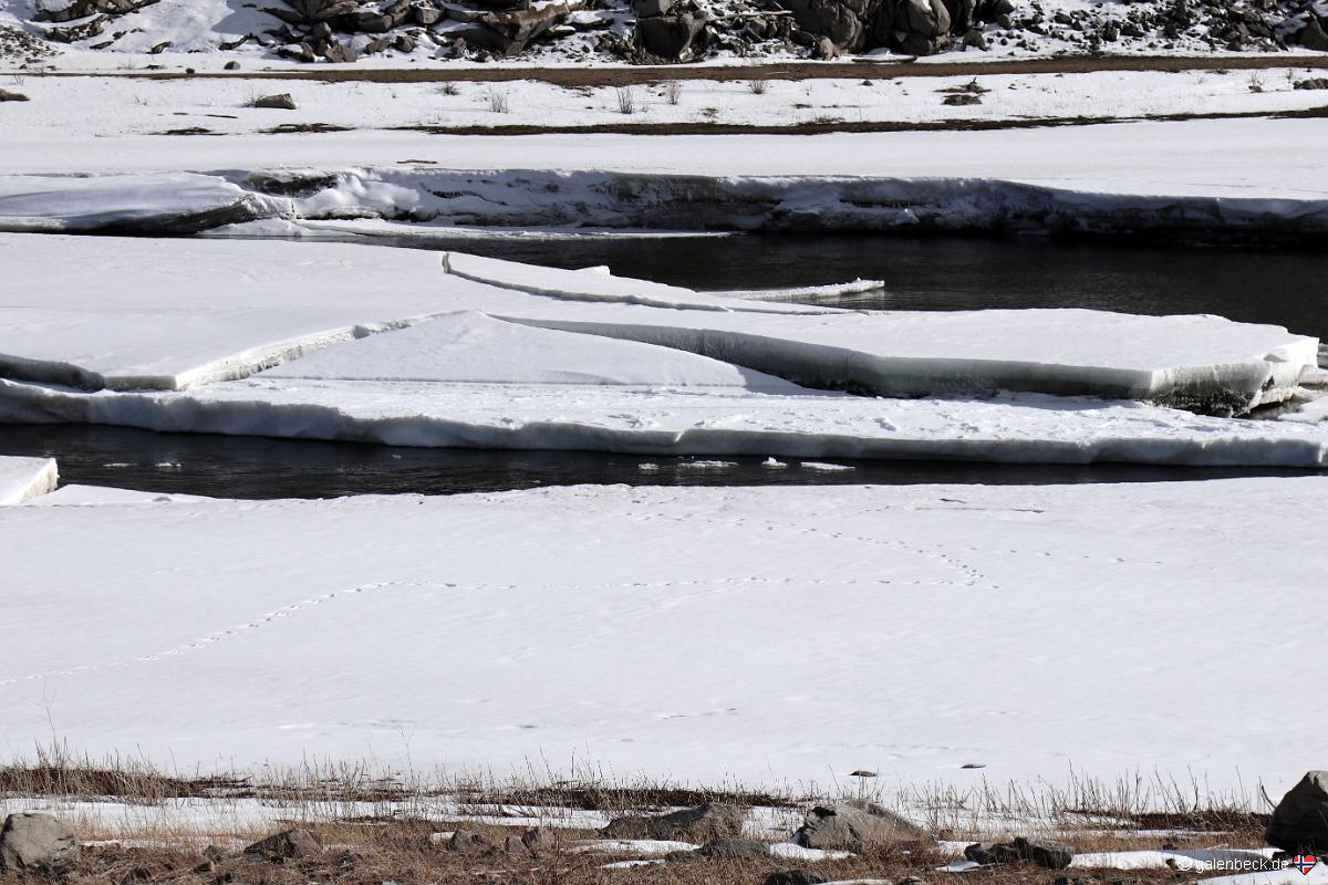 Gunnison River