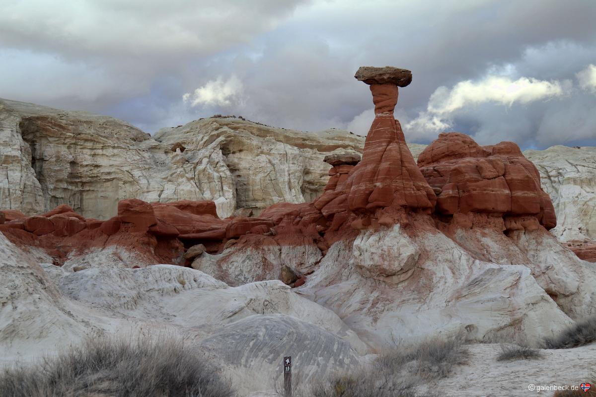 Toadstool Hoodoo