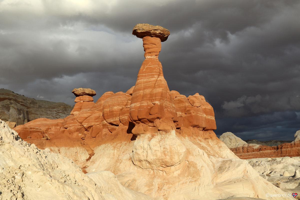Toadstool Hoodoo