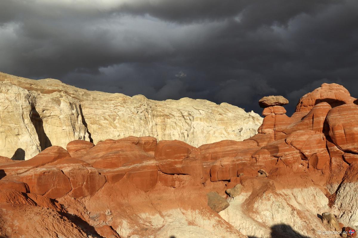 Toadstool Hoodoo