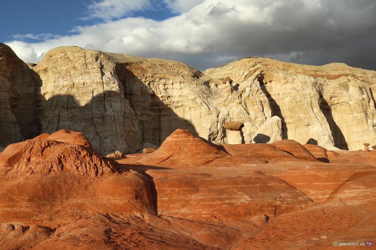Toadstool Hoodoo
