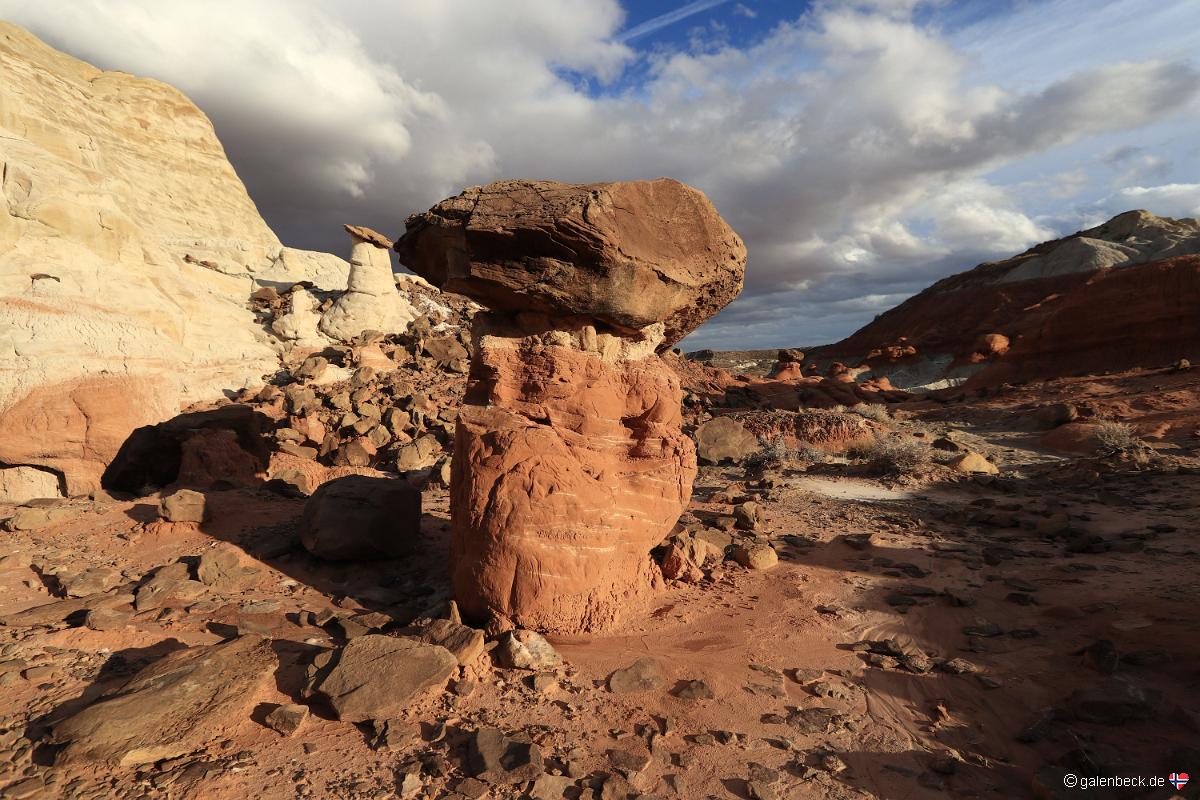 Toadstool Hoodoo