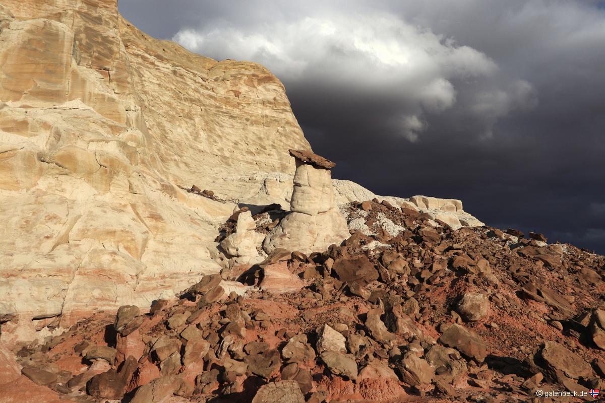 Toadstool Hoodoo