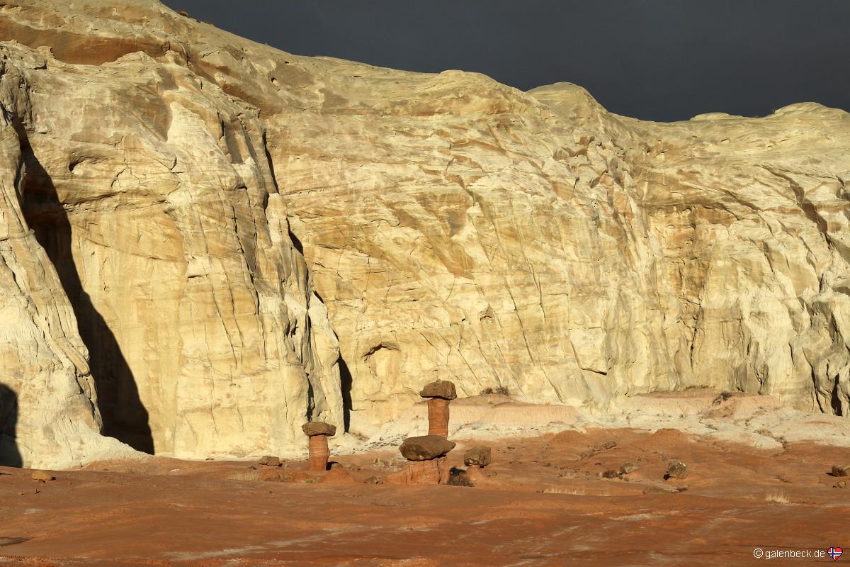 Toadstool Hoodoo