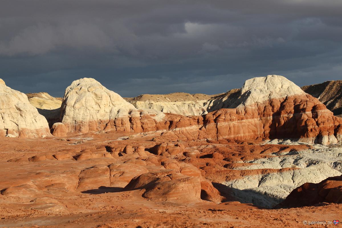 Toadstool Hoodoo