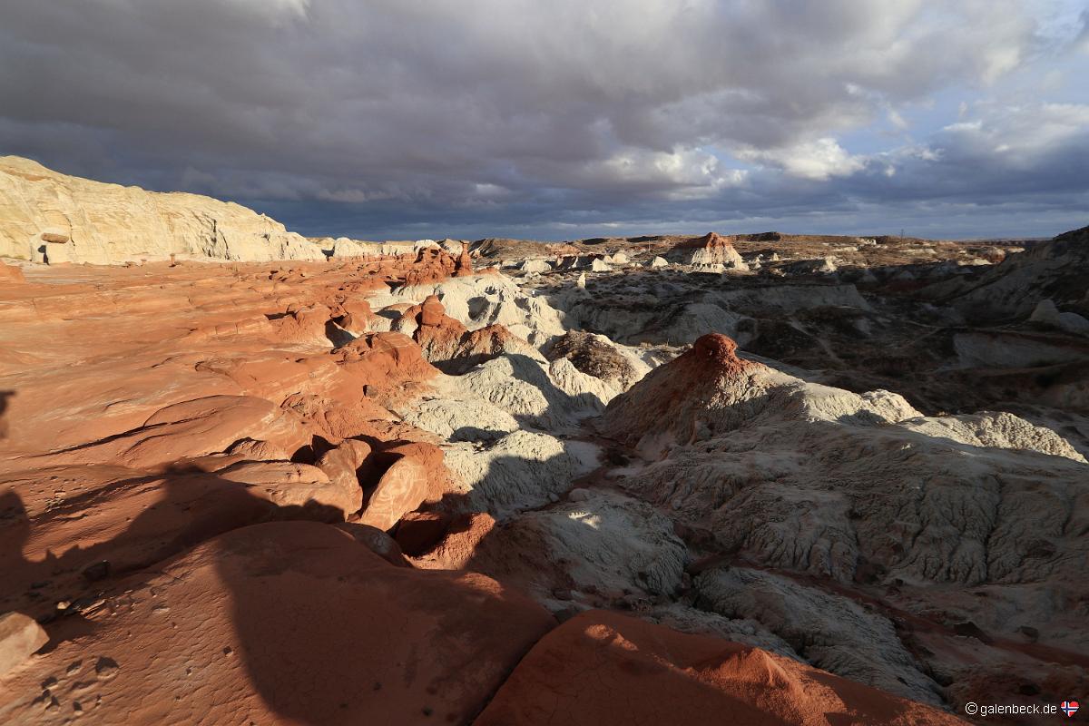 Toadstool Hoodoo