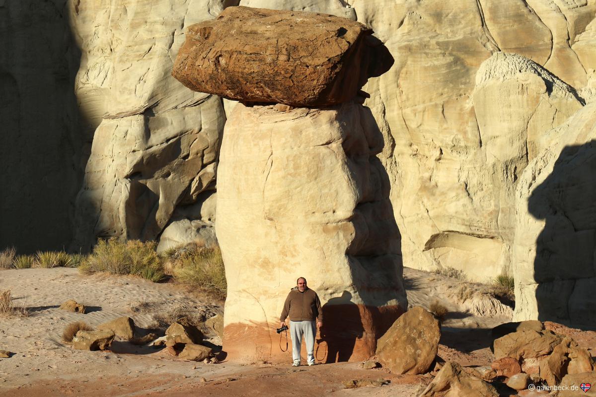 Toadstool Hoodoo
