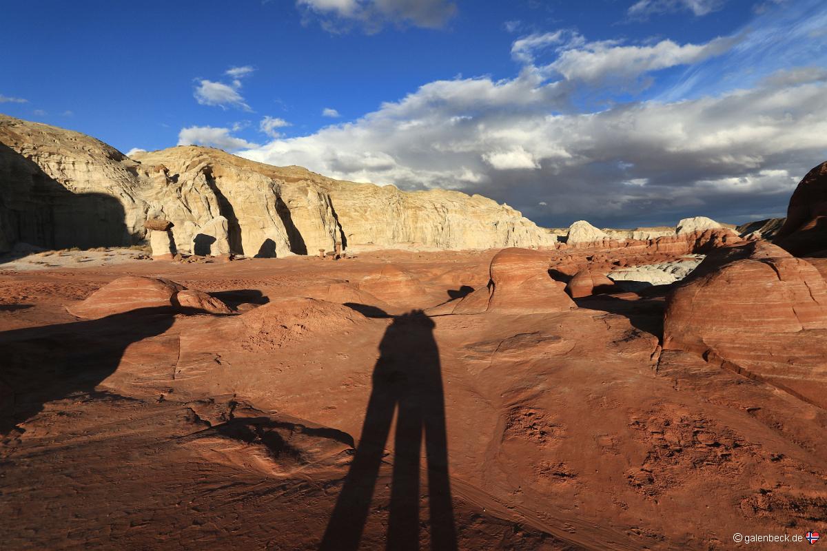 Toadstool Hoodoo