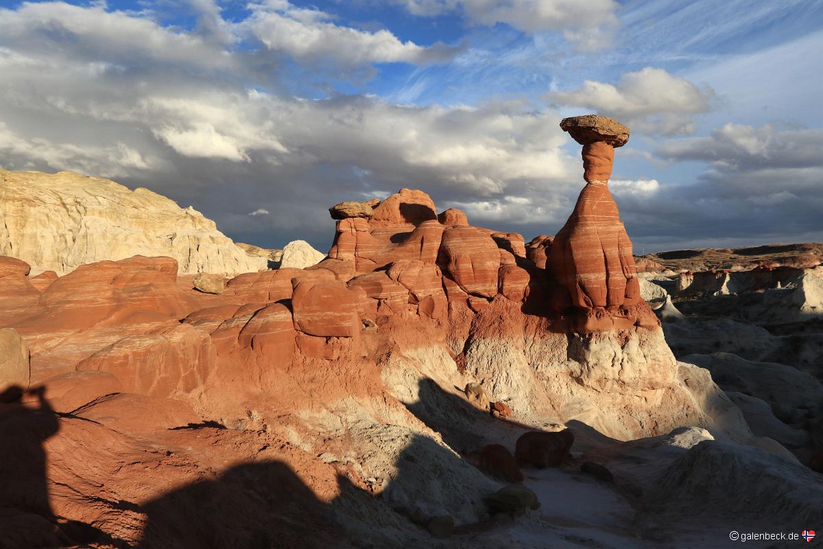 Toadstool Hoodoo