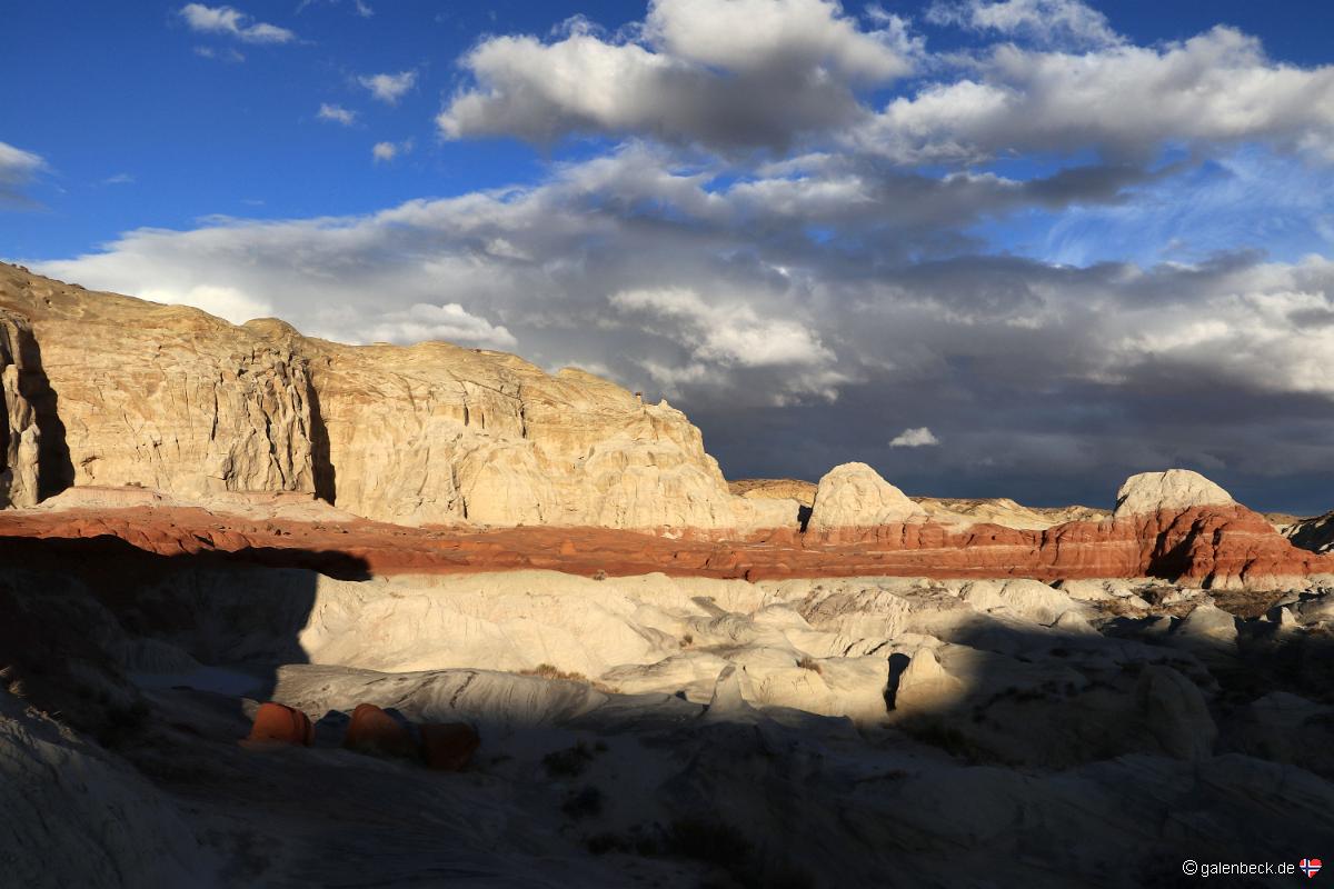 Toadstool Hoodoo