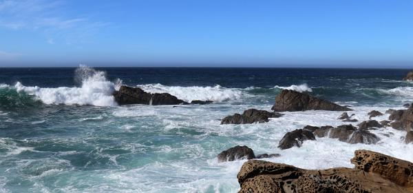 Salt Point State Park