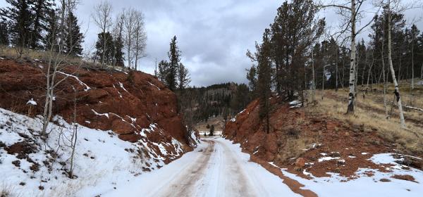 Gold Camp Road