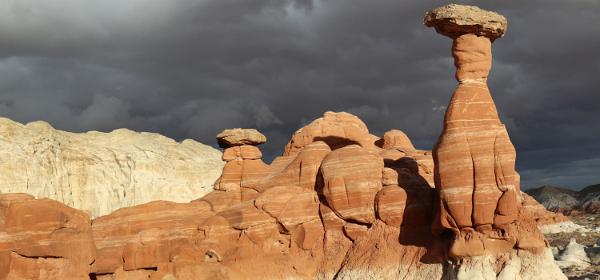 Toadstool Hoodoo