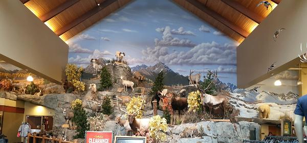 Cabelas Thornton