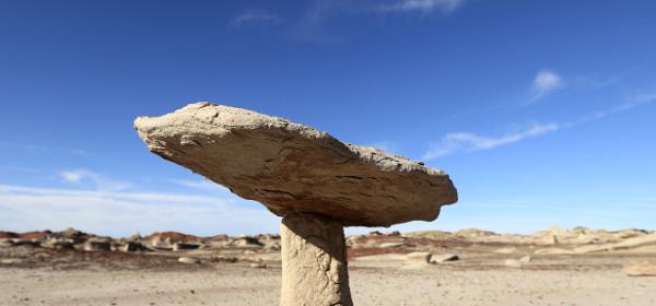 Bisti Badlands Wilderness Area