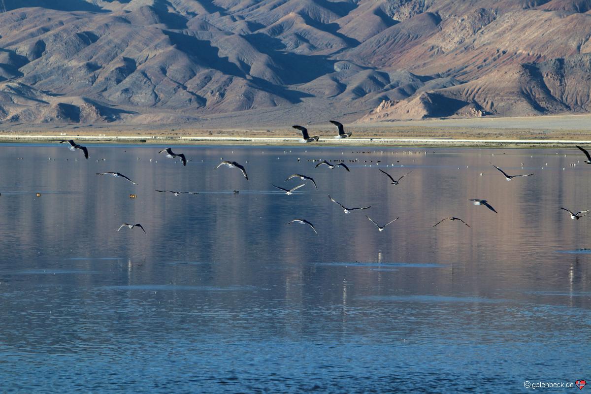 Owens Lake Dust Mitigation Program PM