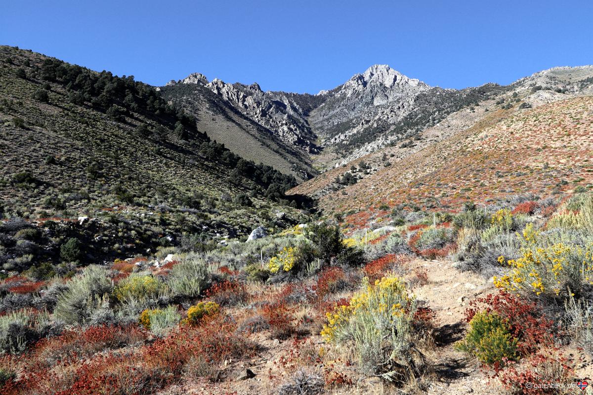 Onion Valley Road