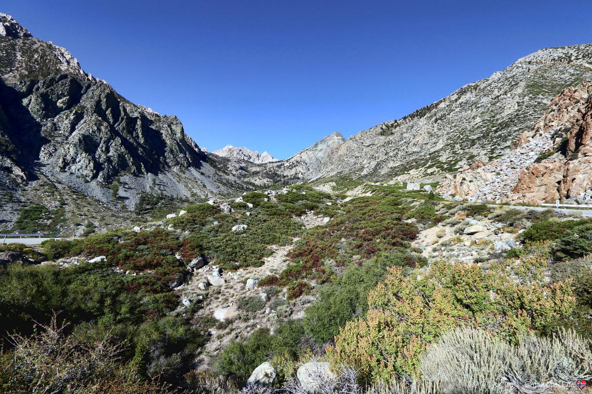 Onion Valley Road